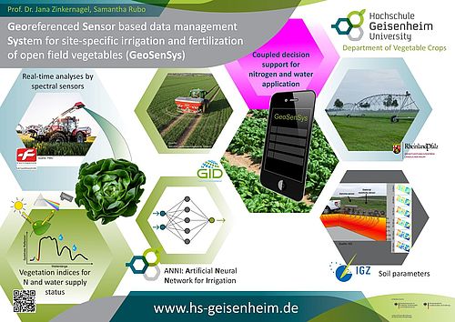 Georeferenced sensor-based data management system for site-specific irrigation and fertilization of open field vegetables