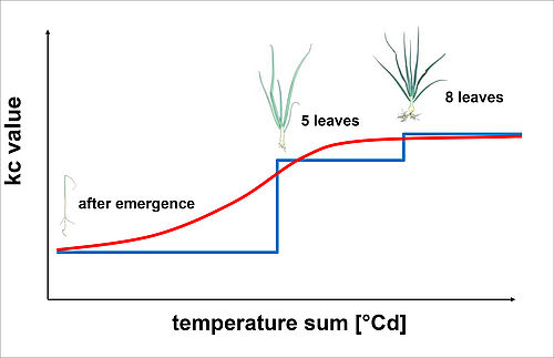Fig. 1: Schematic representation of the previous kc step function and the new kc temperature sum model for onion 
