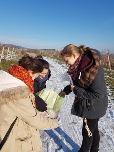 Studentinnen mit Karte in den Händen auf verschneiten Weinbergsweg