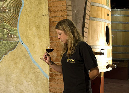 Kathrin Puff im Weingut Dievole, Toskana
