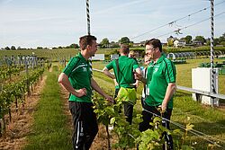 Weinelfspieler unterhalten sich neben Weinbergen