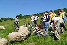 Studierende besuchen Schafe die in der Wanderschäferei für die Landschaftspflege eingesetzt werden © Hochschule Geisenheim