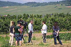Filmdreh neben Weinbergen