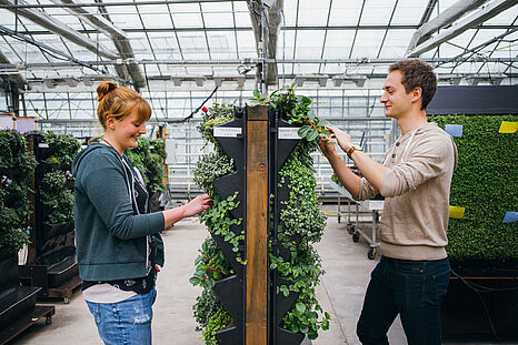 Eine junge Frau und ein junger Mann stehen in einem Gewächshaus auf den zwei Seiten einer begrünten Wand. © Hessen schafft Wissen – Steffen Böttcher