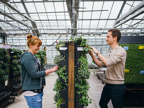 Eine junge Frau und ein junger Mann stehen in einem Gewächshaus auf den zwei Seiten einer begrünten Wand. © Hessen schafft Wissen – Steffen Böttcher