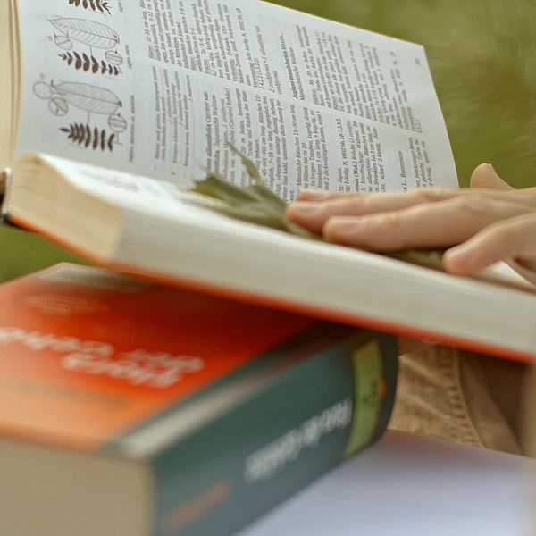 Eine Hand legt das Blatt eines Baumes auf ein Buch zur Bestimmung von Pflanzen. © Hochschschule Geisenheim