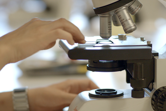Eine Hand schiebt einen Objektträger unter ein Mikroskop. © Hochschschule Geisenheim
