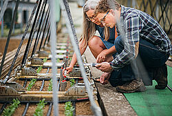 Studenten arbeiten am Boden mit Bepflanzung