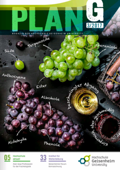 Cover mit Trauben und Weinen und Textelementen