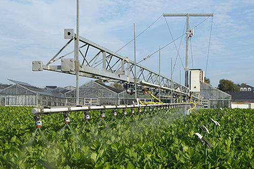 Irrigation trolley for individual irrigation of max. 160 plots