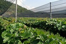 2002 Unterlagen Tutzer 2