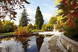 Herbstfärbung im Park Monrepos