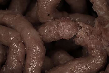 vegane Hackalternative auf Erbsenbasis unter dem Stereomikroskop, Bildquelle: Institut für Frischproduktlogistik