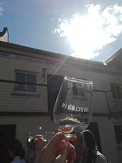 Weinglas wird gegen Sonne in Richtung Himmel gehalten