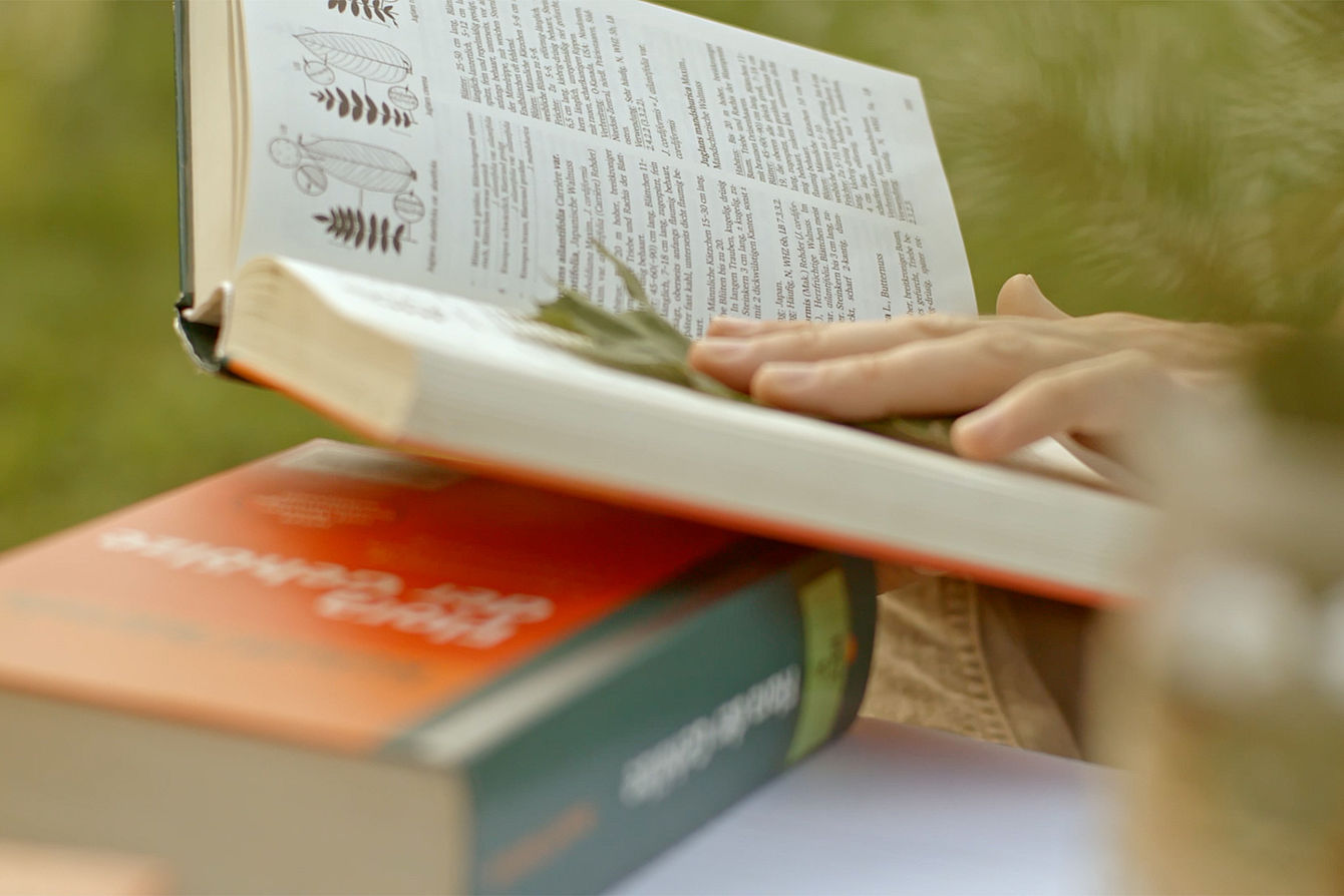 Eine Person vergleicht ein Blatt mit einer Abbildung in einem Buch. © Hochschule Geisenheim