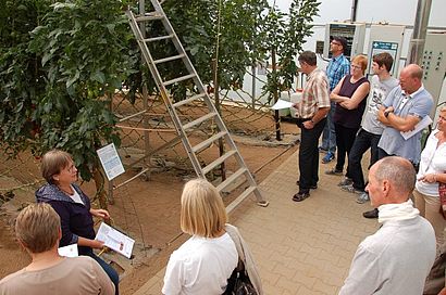 Birgit Hagendorf-Mehr, LLH, (1.v.l.) erläutert Versuchsfragestellungen zum Tomatenanbau im Folienhaus