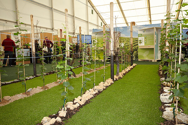 Weinberge in der Ausstellung