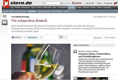 Bildschirmfoto der Stern-Seite