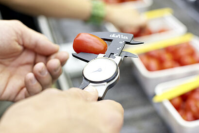 Vermessen einer Tomate