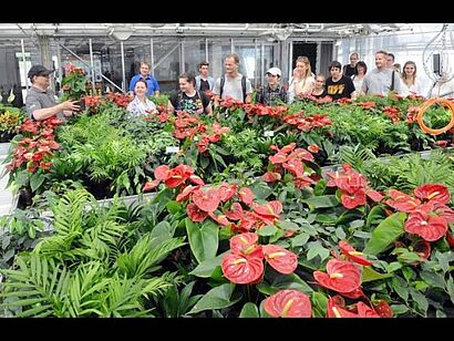 Gruppe in Gewächshaus 