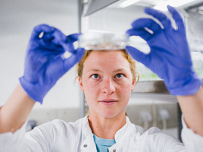 Eine junge Frau mit Laborkittel und blauen Laborhandschuhen betrachtet den Inhalt einer Petrischale von unten. © Hessen schafft Wissen – Steffen Böttcher 