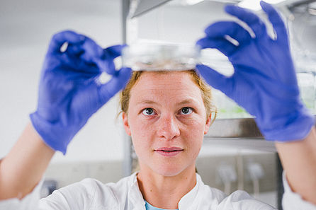 Eine junge Frau mit Laborkittel und blauen Laborhandschuhen betrachtet den Inhalt einer Petrischale von unten. © Hessen schafft Wissen – Steffen Böttcher 