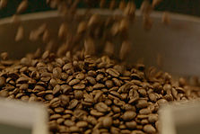 Kaffeebohnen fallen aus einem Röster. © Hochschule Geisenheim
