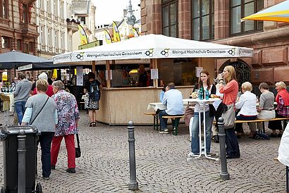 Stand der Hochschule