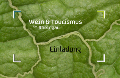 Einladung Wein und Tourismus