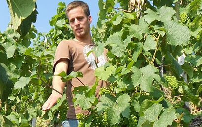 Christoph Eiffel im Weinberg