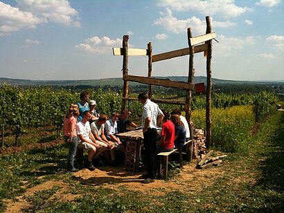 Studenten im Weinberg 