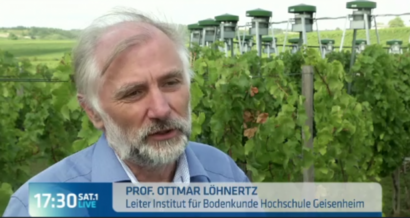 Professor im Interview