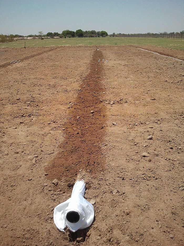 Drainagerohrbewässerung Drainagerohrbewässerung