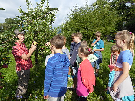 [Translate to English:] Kinder bekommen eine Führung durch die Apfelbaumwiese