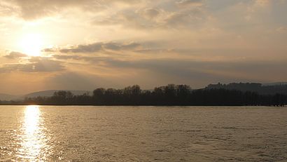 Sonnenuntergang und Rhein