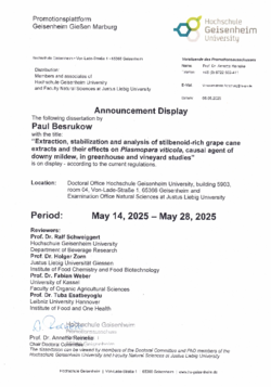 Announcement display dissertation P. Besrukow