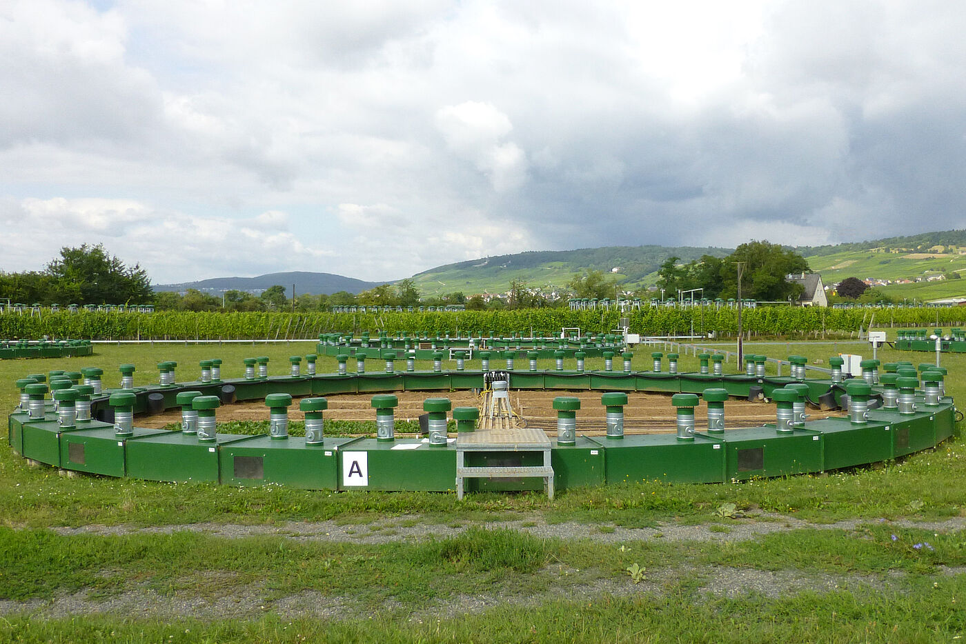 FACE-Ring im Gemüsebau FACE-Ring im Gemüsebau
