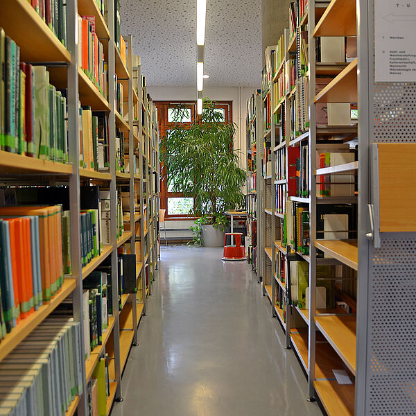 Eine Regalreihe mit Büchern © Hochschule Geisenheim / Jan Schindler