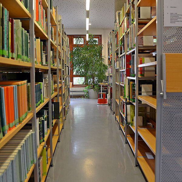 Eine Regalreihe mit Büchern © Hochschule Geisenheim / Jan Schindler
