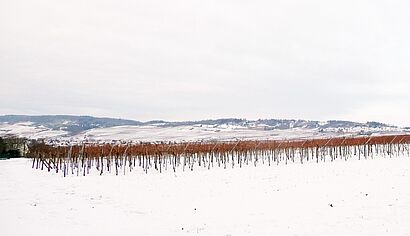 winterliche Landschaft