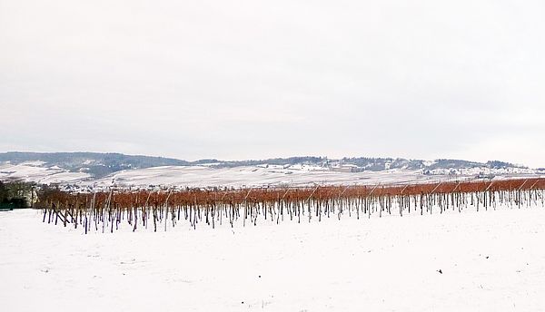 winterliche Landschaft