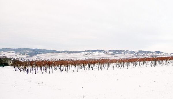 winterliche Landschaft