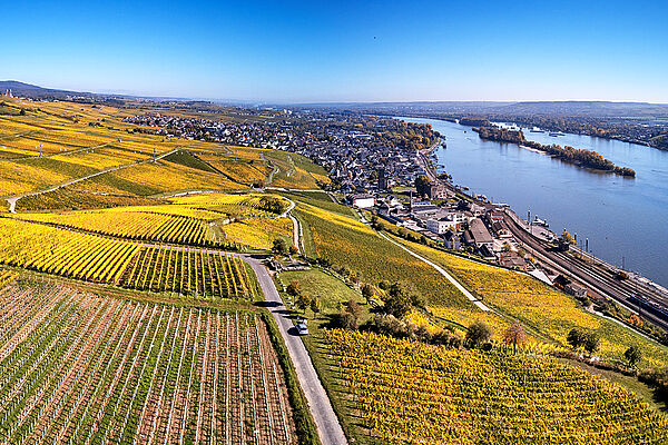 Der Rheingau als Anziehungspunkt für Weintouristen