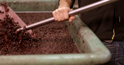 Ein Student beim Maischen von roten Trauben. © Hochschschule Geisenheim