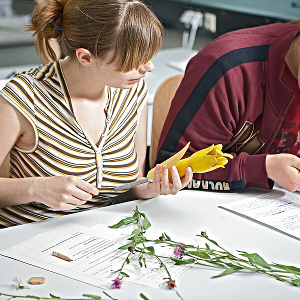 Zwei Studentinnen sitzen an einem Tisch; eine betrachtet eine Pflanze, die andere notiert etwas © Hochschule Geisenheim / ppsstudios.com