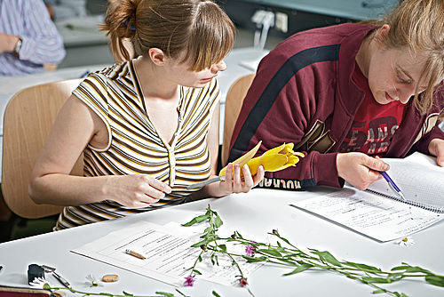 Zwei Studentinnen sitzen an einem Tisch; eine betrachtet eine Pflanze, die andere notiert etwas © Hochschule Geisenheim / ppsstudios.com