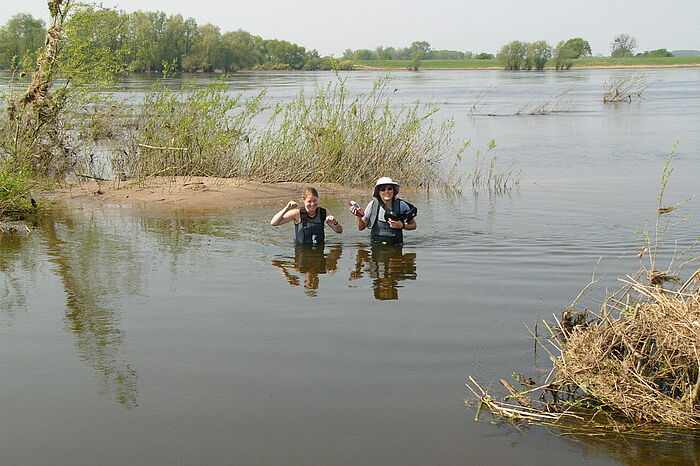 Zwei Frauen arbeiten in einer Aue. © Hochschule Geisenheim