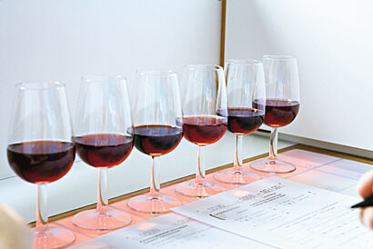 Aufnahme verschiedener Rotweine während Sensorik 