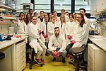Biologie Leistungskurs der Rheingauschule im molekularbiologischen Labor des Instituts für Phytomedizin