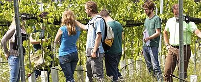 Studenten im Weingarten